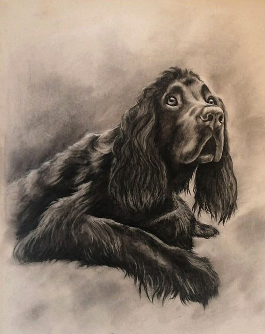dog_portrait drawing from photo
Custom pet portrait from photo, original handmade animal portrait created by an artist